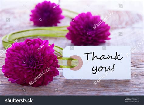 Label Thank You Purple Flowers Green Stock Photo (Edit Now) 173630615