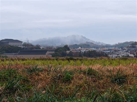 冬の靄 きままに季語 冬の靄 きままに季語