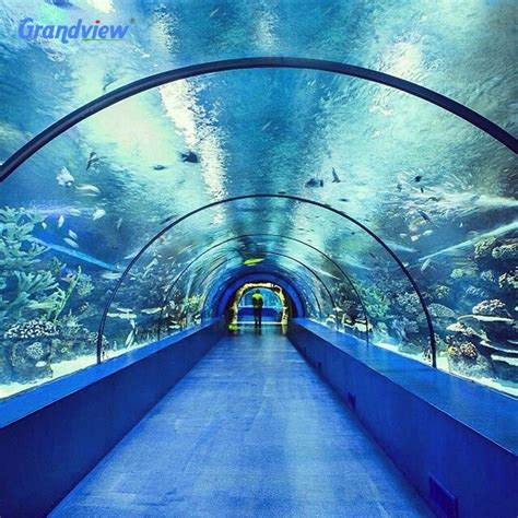 Custom Large Acrylic Tunnel Marine Aquarium - Large Acrylic Tunnel and ...