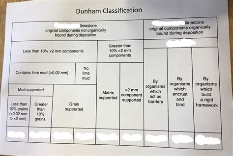 Dunham Classification Diagram | Quizlet