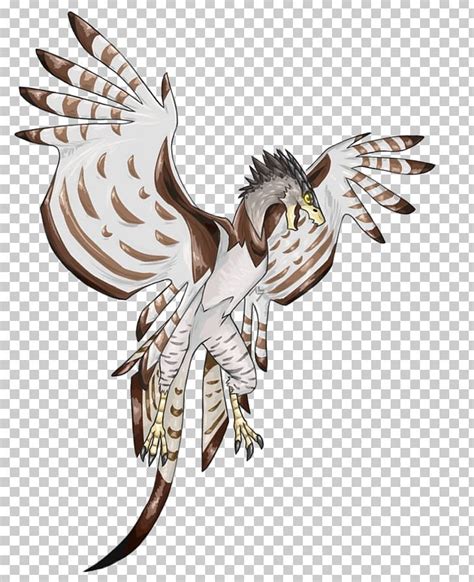 Harpy Eagle Png Clipart Art Artist Beak Bird Bird Of Prey Free