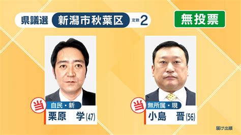 新潟県議選 開票結果 “統一地方選挙の前半戦” 全53議席の顔ぶれは？ Tbs News Dig 3ページ