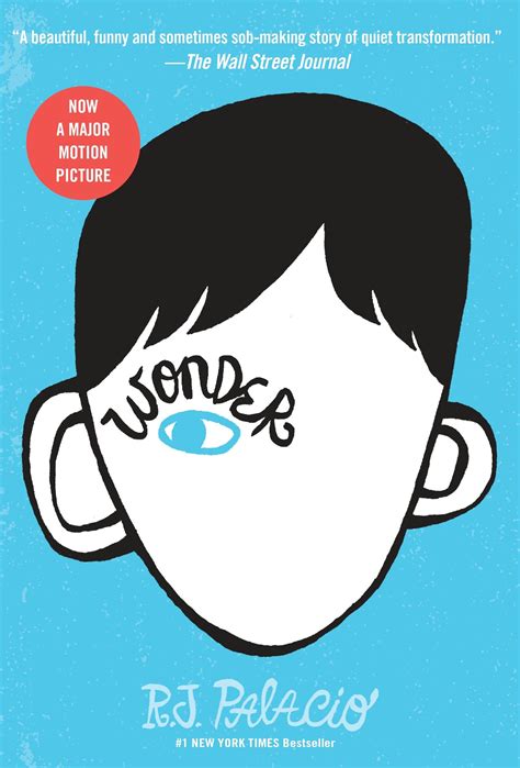 Wonder Book Resources | KS2 | Year 5 | Year 6 | Comprehension | SPAG