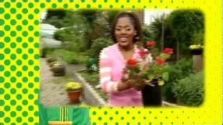 GARDENING Lyrics - BOOGIE BEEBIES | eLyrics.net