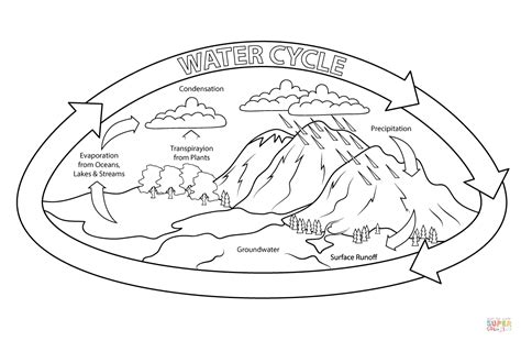 Water Cycle coloring page | Free Printable Coloring Pages