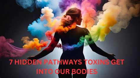 Unveiling 7 Secret Pathways Toxins In Food Contact Fluids Sex