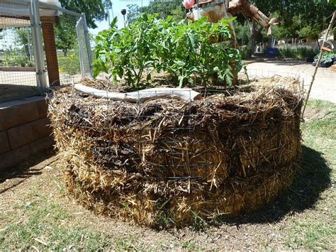 The Escalante Community Garden: Chicken Wire Beds