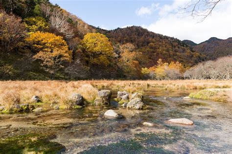 Premium Photo | Autumn landscape in japan