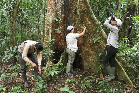 Ministerio Del Ambiente Se Muestra En Contra De Modificación En La Ley