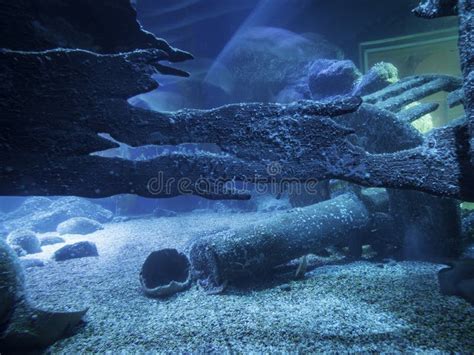 De Bodem Van De Oceaan Stock Foto Image Of Oceaan Zand