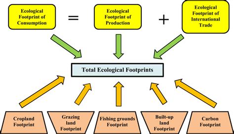 The Dimensions And Components Of The Ecological Footprints Source Download Scientific Diagram