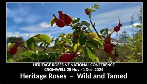 Conference Heritage Roses New Zealand Incorporated