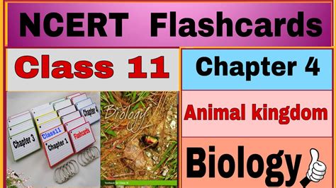 Ncert Flashcardschapter 4 Animal Kingdom Class 11 Biology By