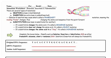 Gene And Chromosome Mutation Worksheets