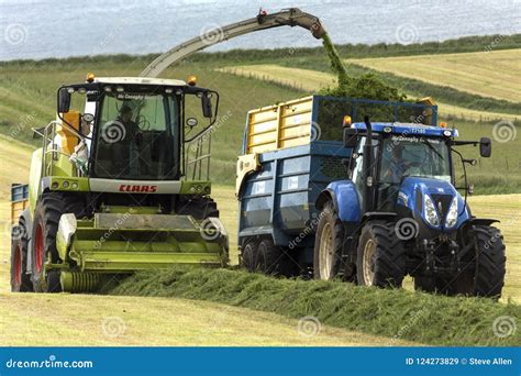 Agriculture Collecting Grass For Silage Editorial Stock Image Image