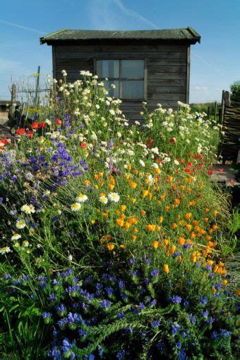 10 Front Yard Wildflower Garden Design Ideas