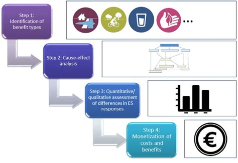 Different Steps Of The Comparative Social Cost Benefit Analysis CSCBA