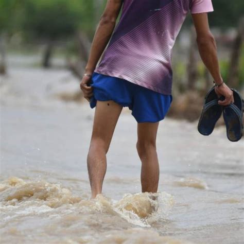 Leptospirosis En Ecuador 39 Casos Se Han Reportado En Ecuador Hasta