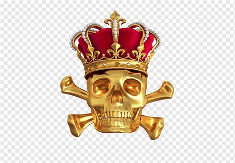 Crown Skull Graphy Crown Skull Gold Human Skull Symbolism Royal