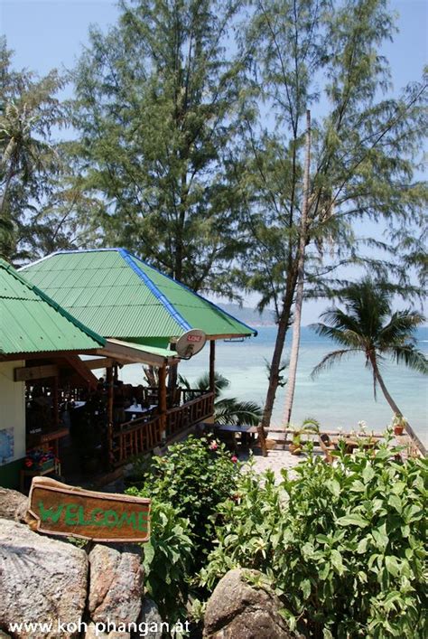 Koh Phangan Coconut Beach And Garden Bungalows Fotogalerie Koh Phangan