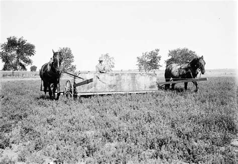 Grasshopper Plague Of The Great Plains Legends Of Kansas