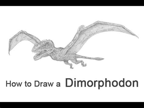 How to Draw a Dimorphodon from Jurassic World - YouTube