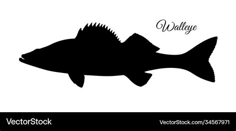 Walleye fish silhouette Royalty Free Vector Image