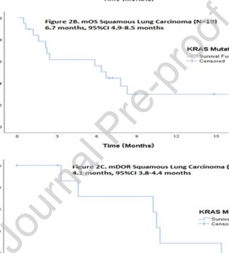 Kaplan Meir Curves Depicting A Median Progression Free Survival