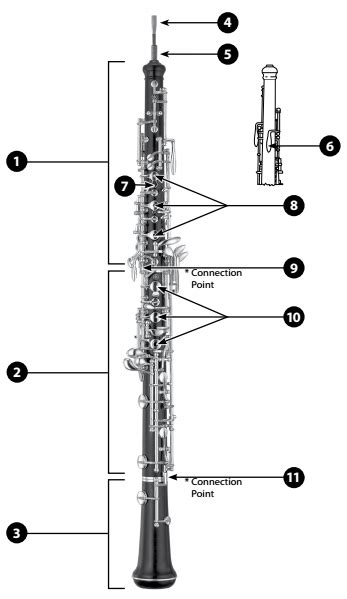 Oboe Part Identification Diagram | Quizlet