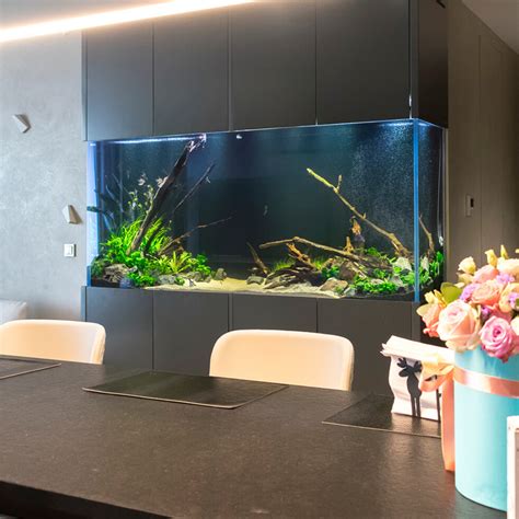 Аквариумы встроенные в стену (60 фото)