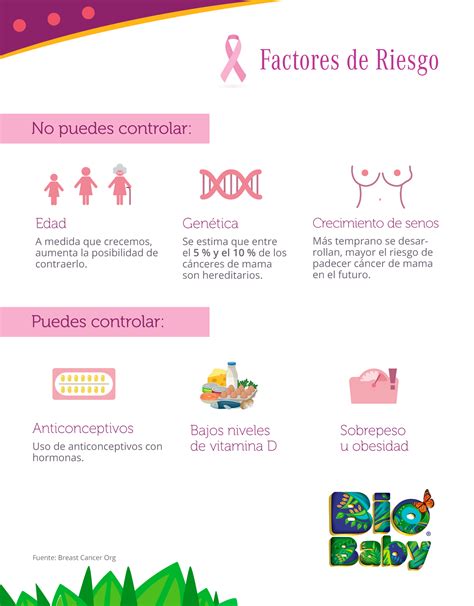 Factores De Riesgo Del Cancer De Mama