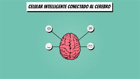 Mapa Mental Cerebro