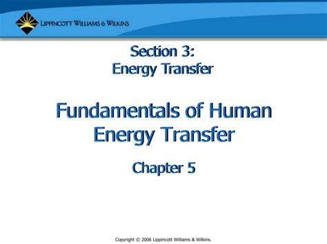 Fundamentals of Human Energy Transfer