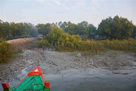 Sundarbans National Park in India: Essential Travel Guide