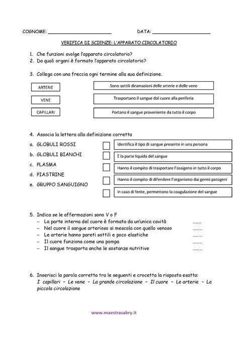 Verifica Su Muscoli E Scheletro