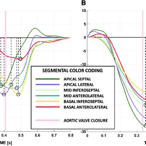 Systolic Strain Curves In The Apical Four Chamber View And Calculation