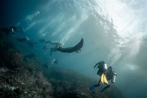 7 Best Dive Spots To Scuba Dive In Indonesia Drink Tea And Travel