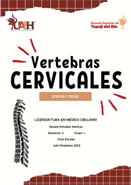 Vértebras Cervicales Daniela uDocz