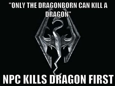 Skyrim Logic Memes That Are Too Hilarious For Words