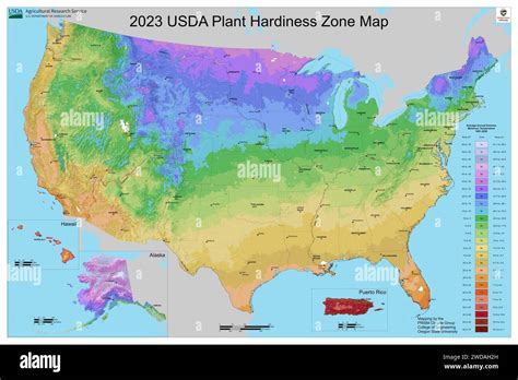 Usda Plant Hardiness Zone Map Usa Stock Photo Alamy