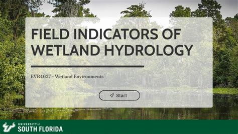 Evr4027 M2 3 Field Indicators Of Wetland Hydrology