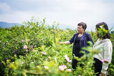 贵州毕节：厚植绿色发展底蕴 扩增生态产业红利图片新闻中国政府网