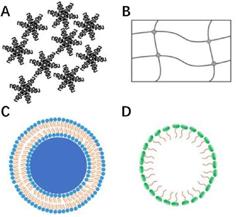 Schematic Representation Of The Nanocarriers Used In Smart Drug