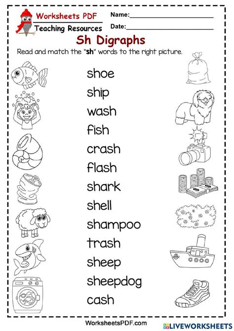 Phonics Digraph Sh Worksheets Library