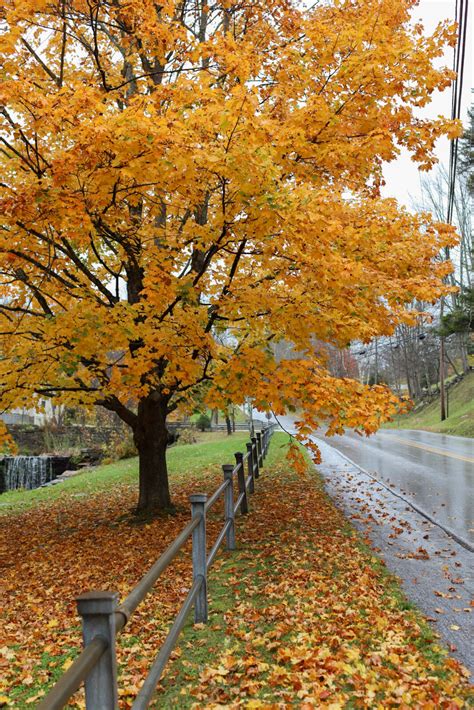 Autumn in Vermont - Harlowe James