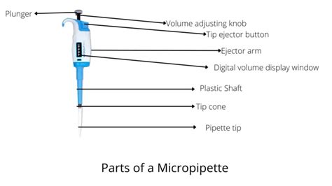 Micropipette: Parts, Types, and Uses – Microbe Online