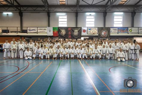 Goju Ryu Karate Do Seiwakai International Seminar Portugal Nintai