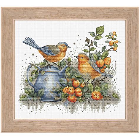 Song Of The Birds Counted Cross Stitch Kit Needlework Projects Tools And Accessories