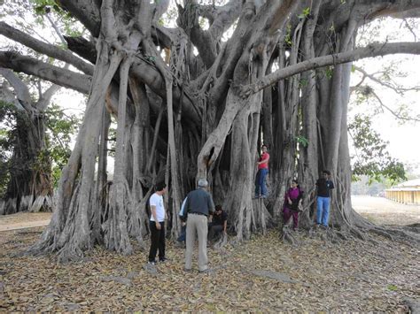 Khagrachari - Discover Bangladesh