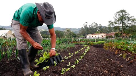 Importancia De La Agricultura Org Nica Tvagro Por Juan Gonzalo Angel